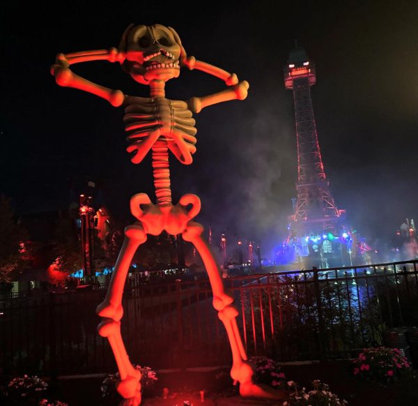 Navigation to Story: Land of Illusion Versus Halloween Haunt