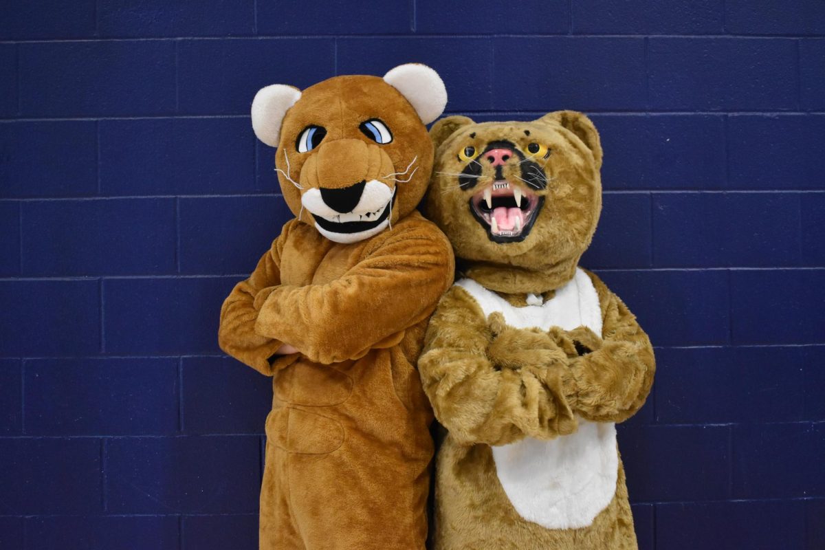 Cougar Superlatives! Courtesy of Ms. McKenna.  
